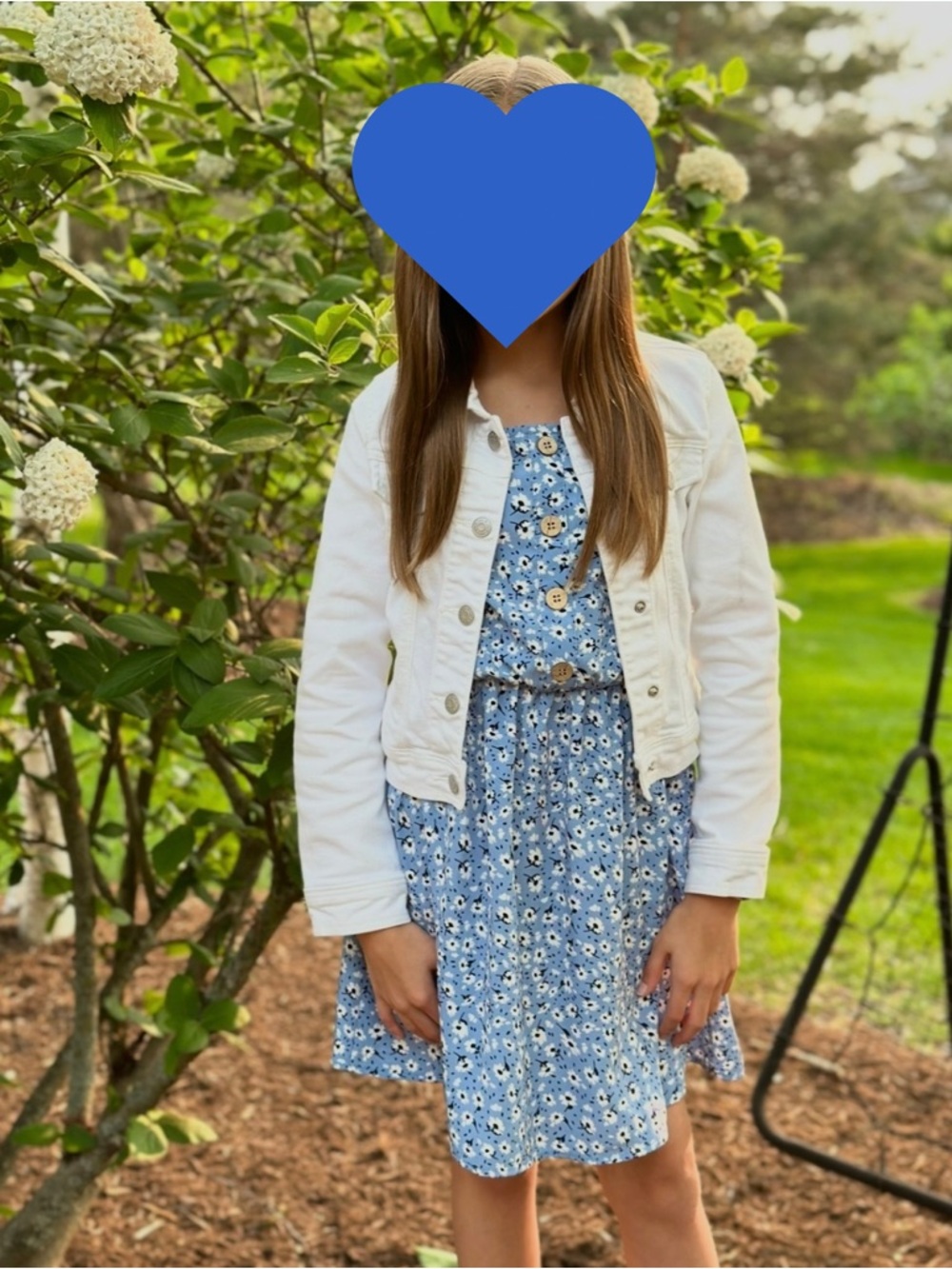 Girls Lily Bleu Dress (size 10)